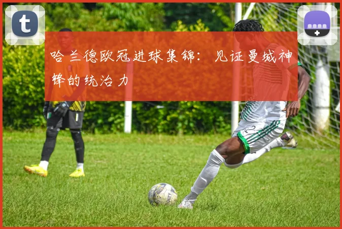 哈兰德欧冠进球集锦：见证曼城神锋的统治力