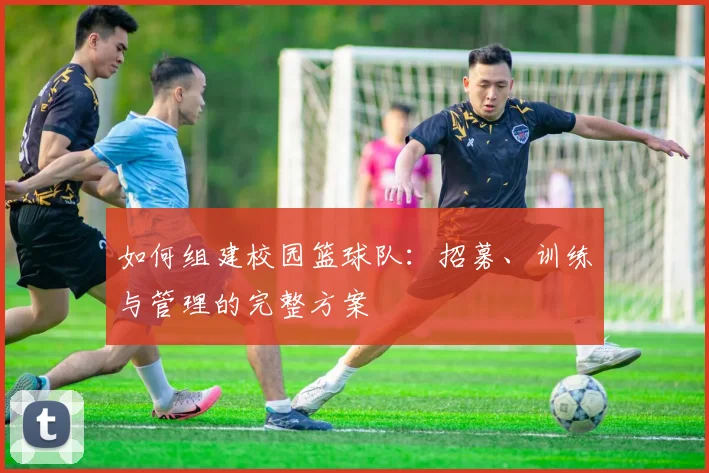 如何组建校园篮球队:招募、训练与管理的完整方案